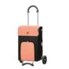 Andersen Scala Shopper Ipek Boodschappentrolley Abricot -Mode Tassen Verkoopwinkel image 2179