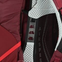 Osprey Aura AG LT 65 WM/L Antidote Purple -Mode Tassen Verkoopwinkel image 5571