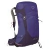 Osprey Sirrus 26 Backpack Blueberry -Mode Tassen Verkoopwinkel image 5627