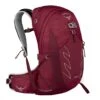Osprey Talon 22 Backpack L/XL Cosmic Red 2 Osprey Talon 22 Backpack L/XL Cosmic Red -Mode Tassen Verkoopwinkel image 5714