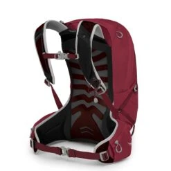 Osprey Talon 22 Backpack L/XL Cosmic Red 4 Osprey Talon 22 Backpack L/XL Cosmic Red -Mode Tassen Verkoopwinkel image 5716