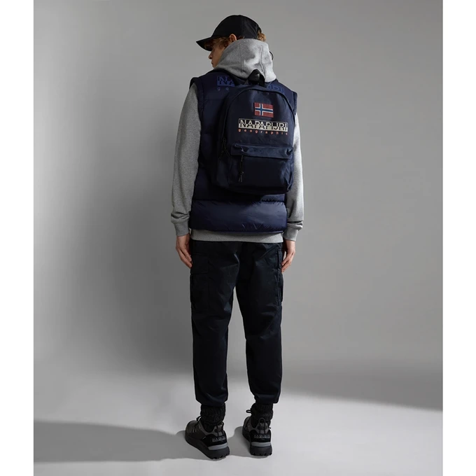Napapijri Hering Daypack green depths Napapijri Hering Daypack Green Depths -Mode Tassen Verkoopwinkel image 6023